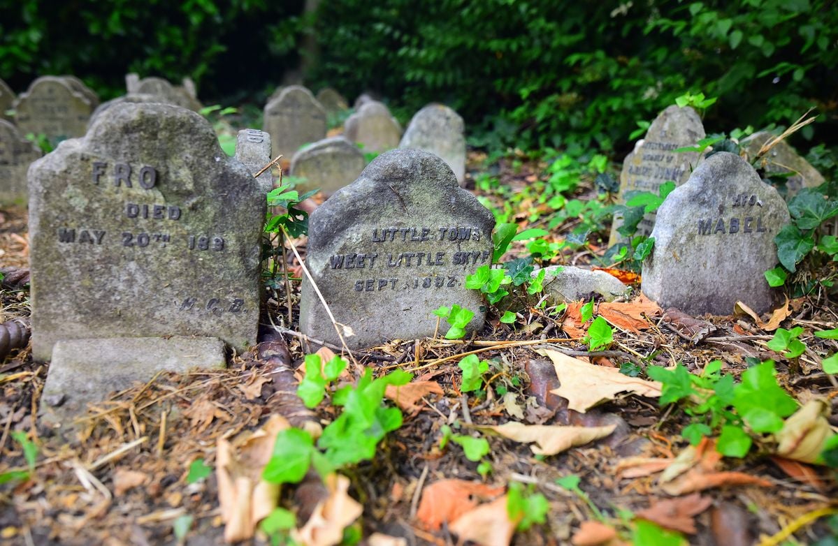 Why the World’s First Pet Cemetery Was Revolutionary