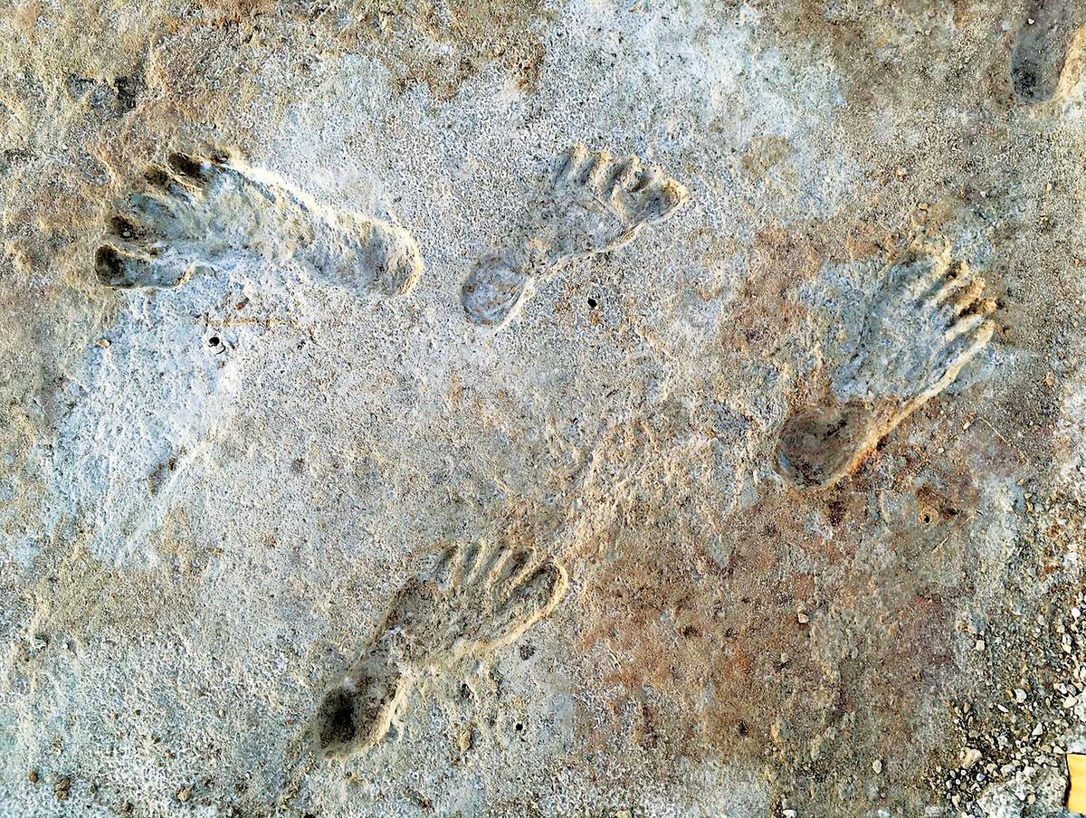 Tracking Humans’ First Footsteps in North America